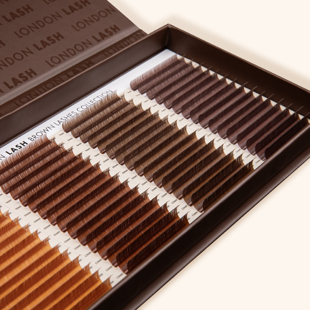 Black-Brown Lash Extensions
