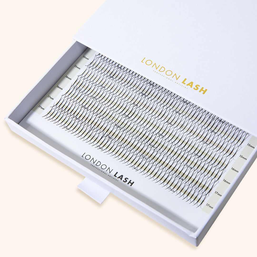 Tray of premade eyelash extensions