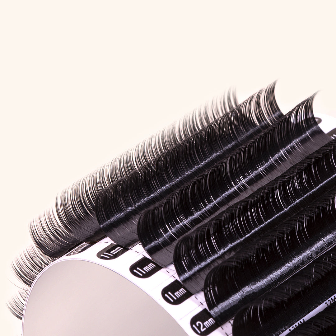 Lash Strip of Classic Chelsea Lashes 0.12