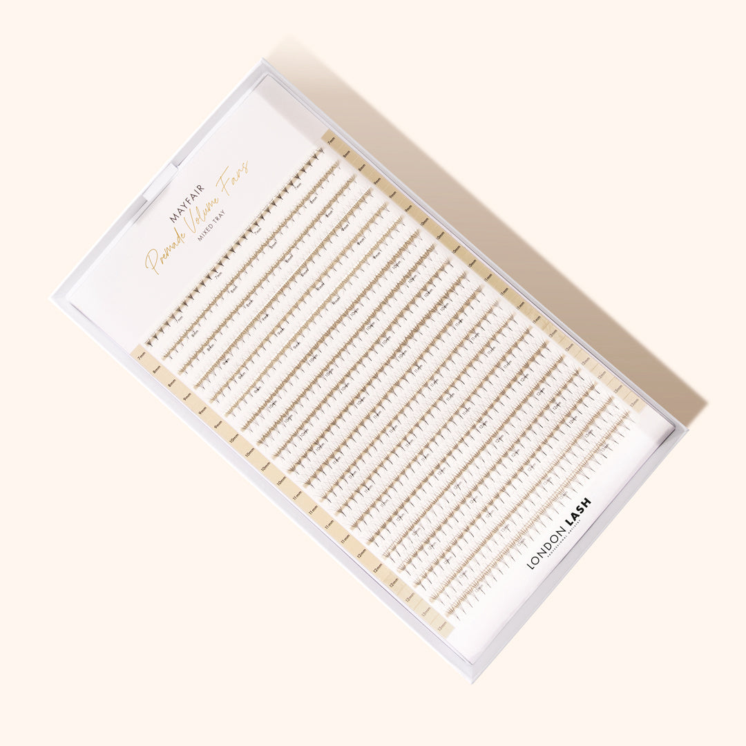 Premade lash fans for volume lash extensions in the lash tray